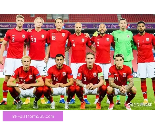 2026世界杯最新参赛球队名单全面解析及球员实力盘点